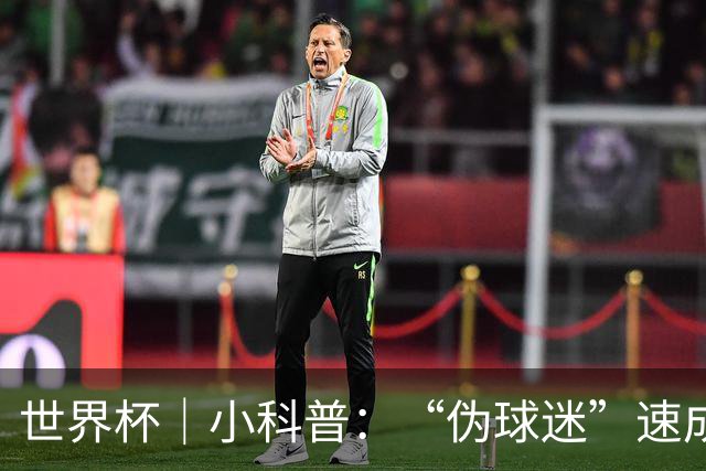 世界杯｜小科普：“伪球迷”速成手册