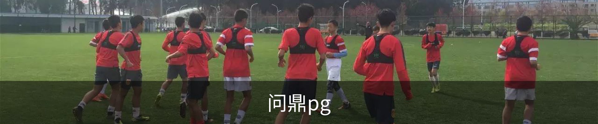 问鼎pg